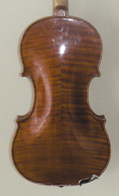 Guarneri model